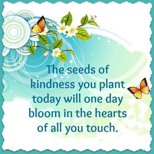 The seeds of kindness that you plant today will one day bloom in the hearts of all that you touch.